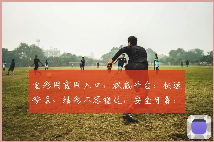 金彩网官网入口，权威平台，快速登录，精彩不容错过，安全可靠，体验非凡