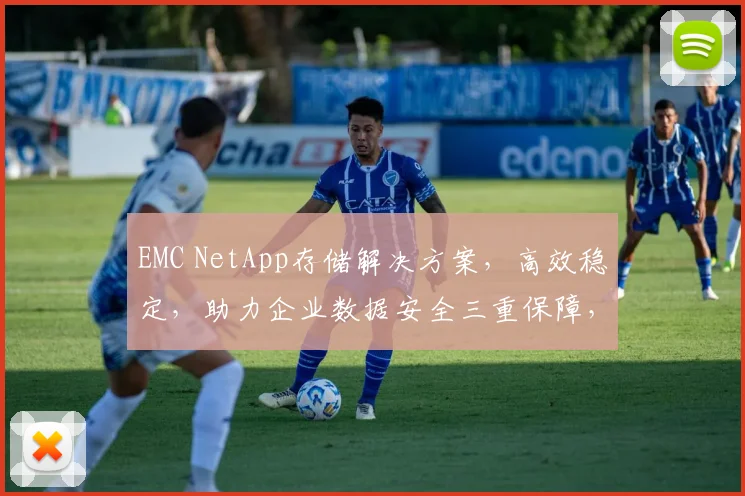 EMC NetApp存储解决方案，高效稳定，助力企业数据安全三重保障，值得信赖