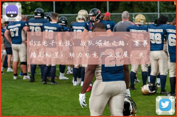 dyg电子竞技，战队崛起之路，赛事精彩纷呈，助力电竞产业发展，共创辉煌未来。