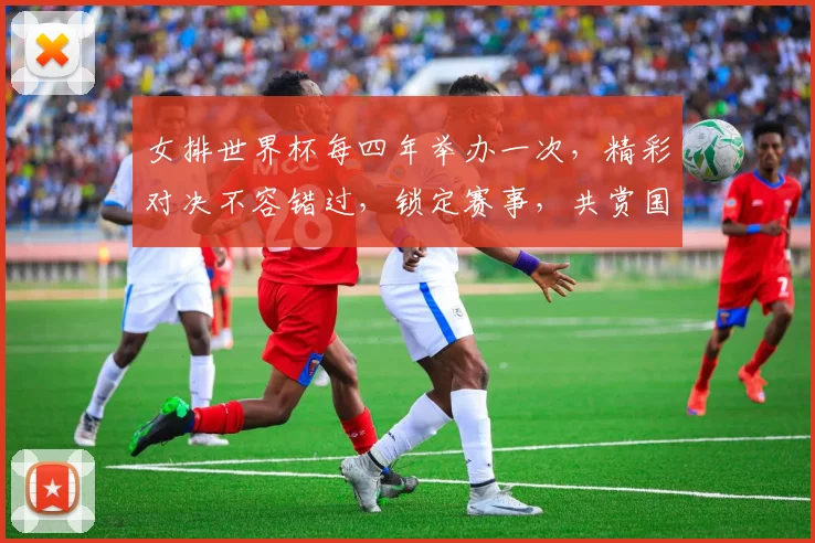 女排世界杯每四年举办一次，精彩对决不容错过，锁定赛事，共赏国球荣耀